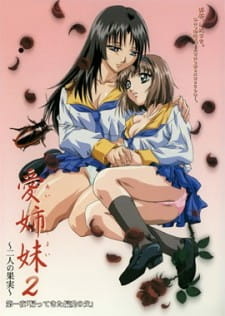 ���������� ����� 2 ����� / Ai Shimai 2: Futari no Kajitsu